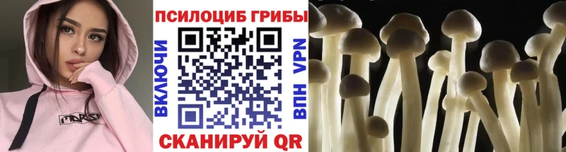shop как зайти  Нижнеудинск  Галлюциногенные грибы мухоморы 