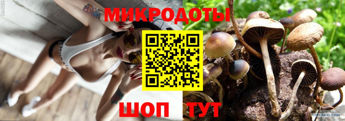 Псилоцибиновые грибы мицелий  Галлюциногенные грибы Cubensis  Вход с VPN  Нижнеудинск 