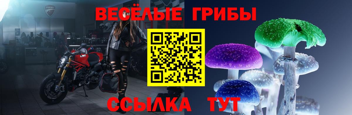 Псилоцибиновые грибы Cubensis  Нижнеудинск 